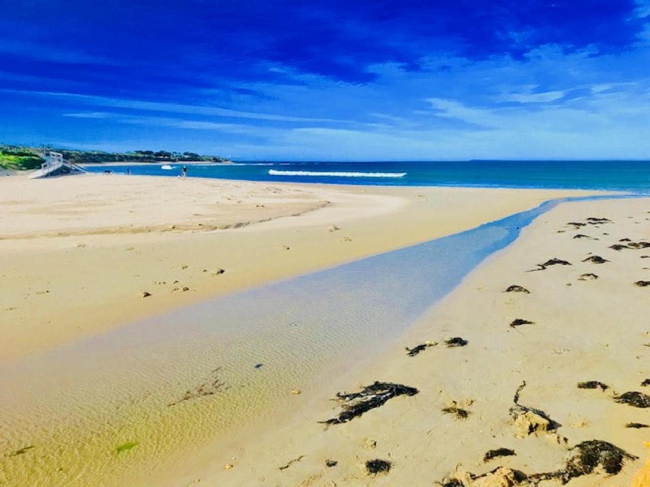 Beach Life Torquay Bagian luar foto